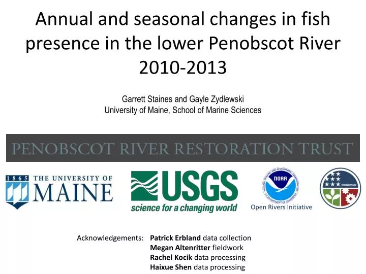 annual and seasonal changes in fish presence in the lower penobscot river 2010 2013