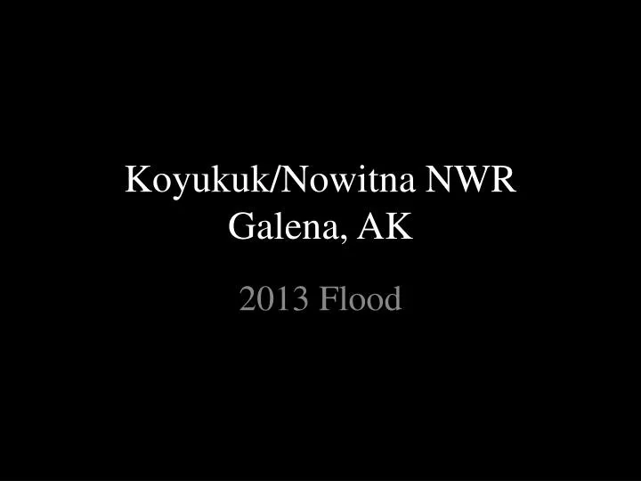 koyukuk nowitna nwr galena ak