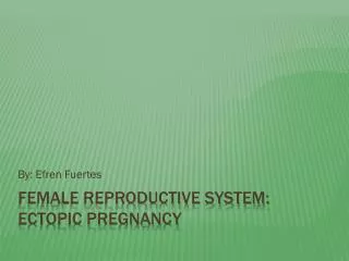 Female Reproductive System: Ectopic Pregnancy