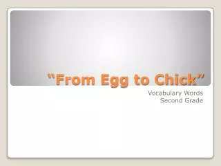 from egg to chick