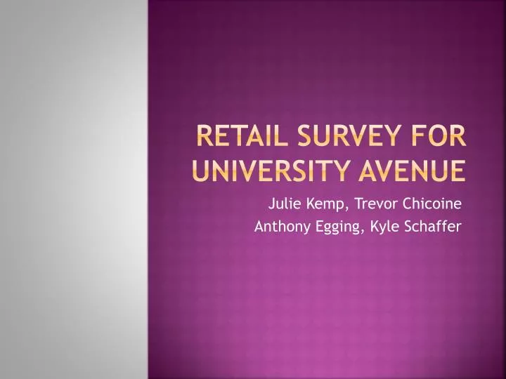 retail survey for university avenue