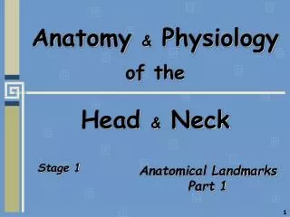 Anatomy &amp; Physiology of the Head &amp; Neck