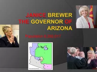 Janice Brewer the governor of Arizona