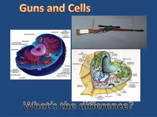 Guns and Cells