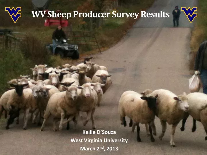 wv sheep producer survey results