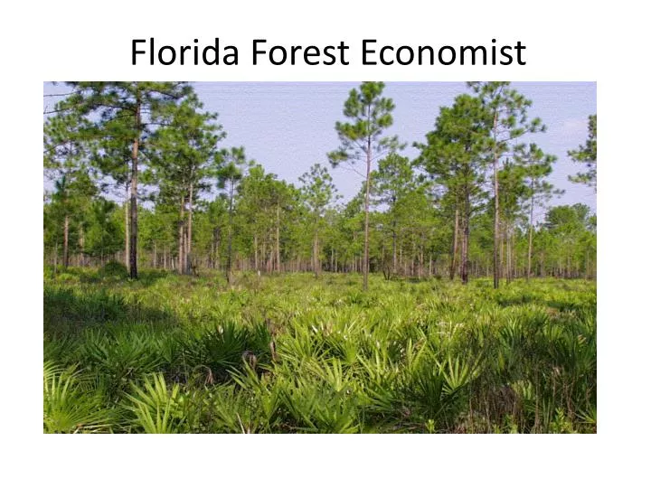 florida forest economist