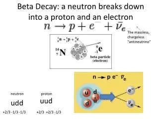 Beta Decay: a neutron breaks down into a proton and an electron