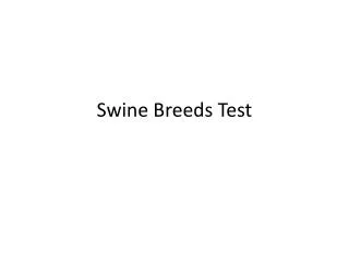 swine breeds test