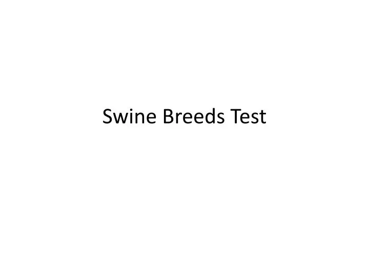 swine breeds test