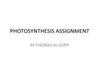 PHOTOSYNTHESIS ASSIGNMENT