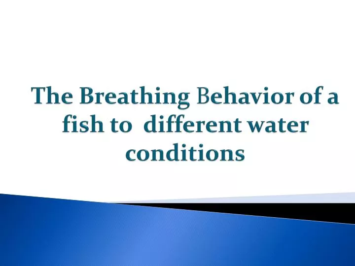 the breathing b ehavior of a fish to different water conditions
