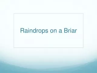 Raindrops on a Briar