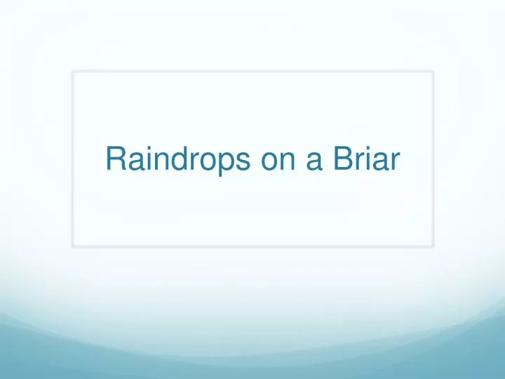 raindrops on a briar