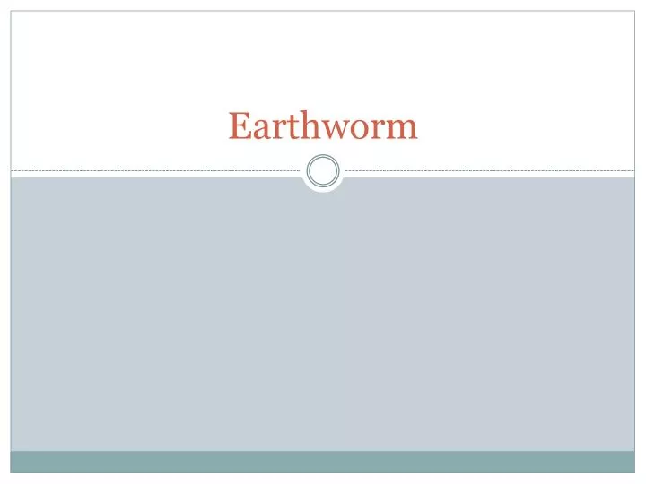 earthworm