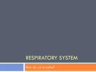 Respiratory System