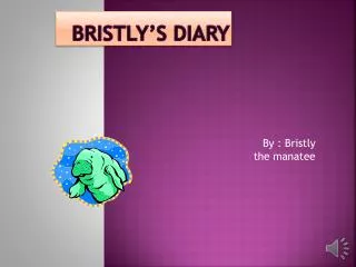 bristly s diary