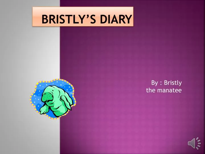 bristly s diary