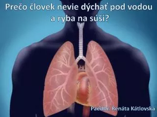 Prečo človek nevie dýchať pod vodou a ryba na súši?