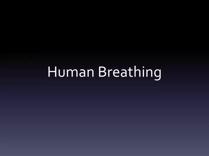 human breathing