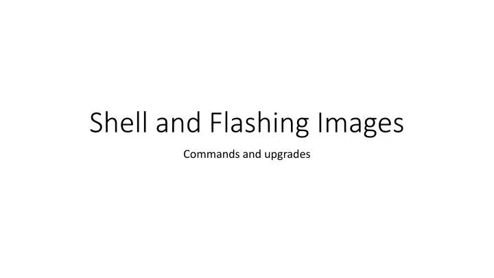 shell and flashing images