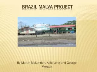 Brazil Malva Project