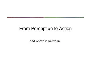 From Perception to Action