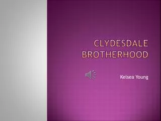 Clydesdale Brotherhood