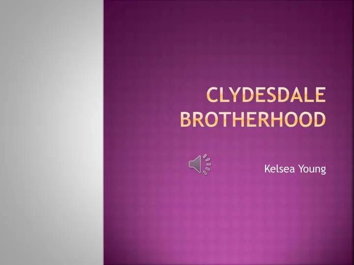 clydesdale brotherhood