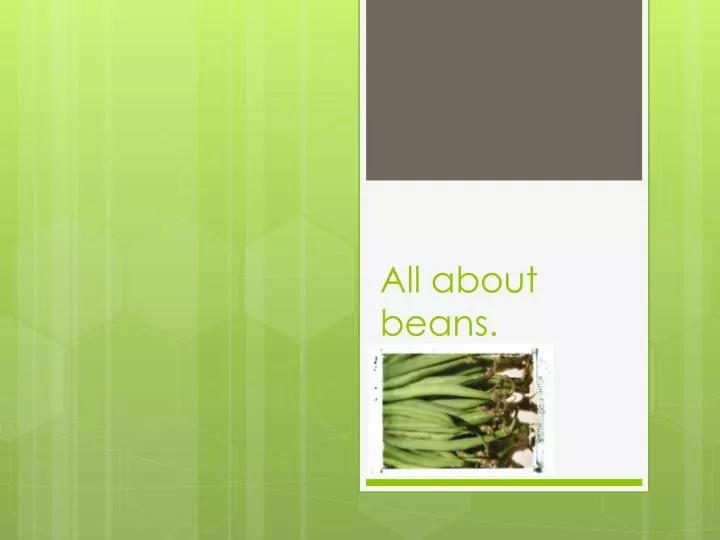 all about beans