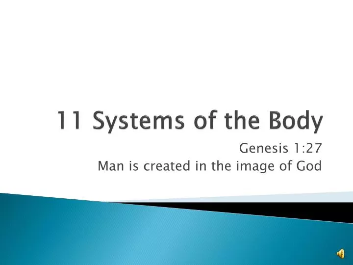 11 systems of the body