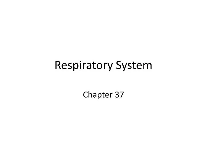 respiratory system