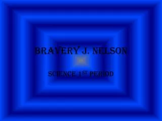 BRAVERY J. NELSON