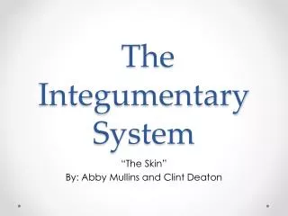 The Integumentary System