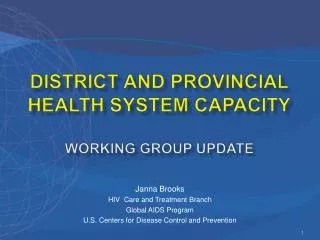 District and provincial health system capacity Working Group Update