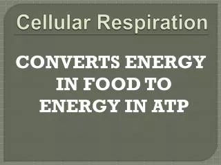 Cellular Respiration