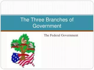 the three branches of government