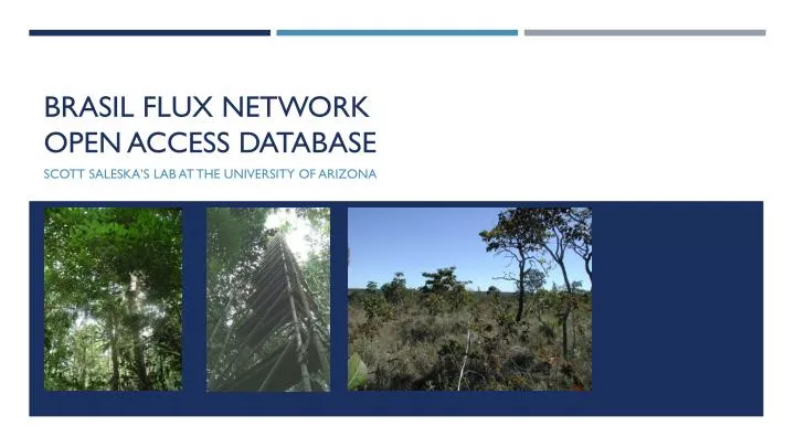 brasil flux network open access database