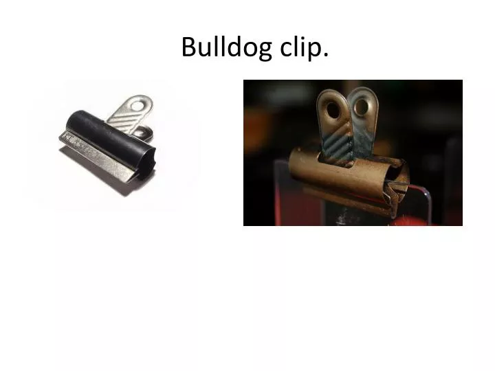 bulldog clip
