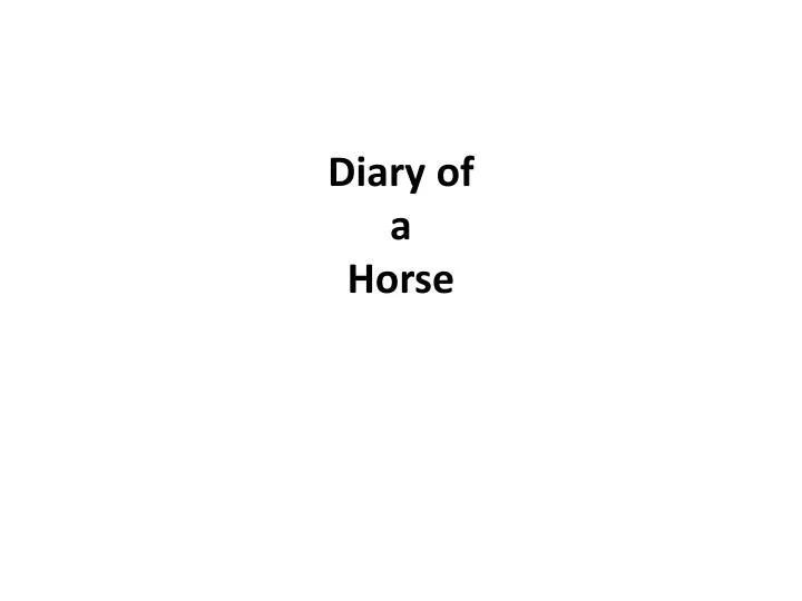 diary of a horse