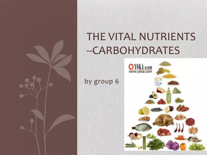 the vital nutrients carbohydrates