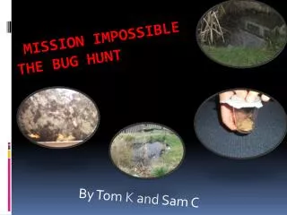Mission impossible the bug hunt