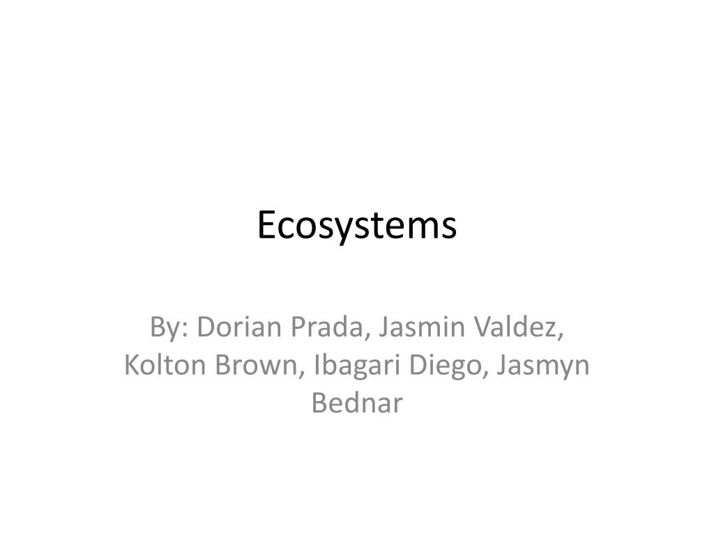PPT - Ecosystems PowerPoint Presentation, free download - ID:2813947