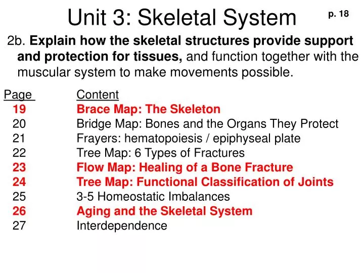 unit 3 skeletal system