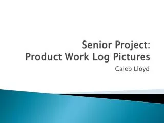 Senior Project: Product Work Log Pictures