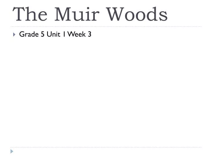 the muir woods