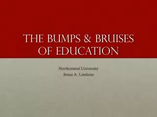 The Bumps &amp; Bruises of Education