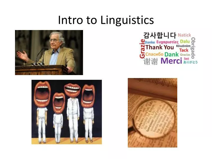 PPT - Intro To Linguistics PowerPoint Presentation, Free Download - ID ...