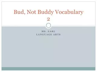 Bud, Not Buddy Vocabulary 2