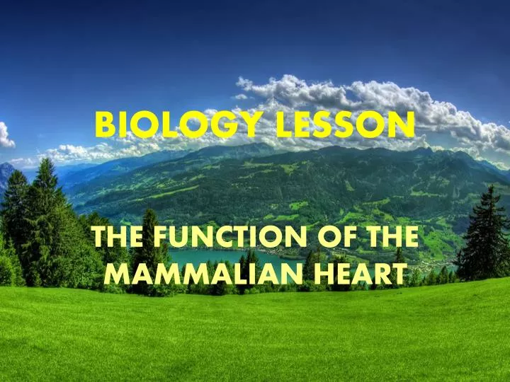 biology lesson
