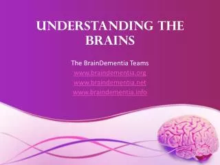 Understanding the Brains